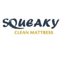 Squeaky Mattress Cleaning Sydney image 1
